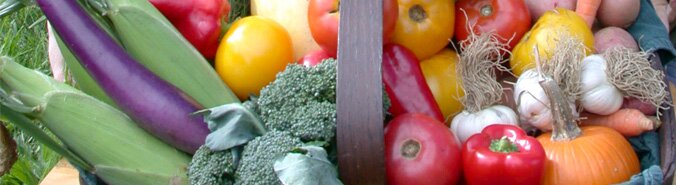 basket full of vegetables