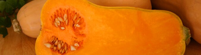butternut squash